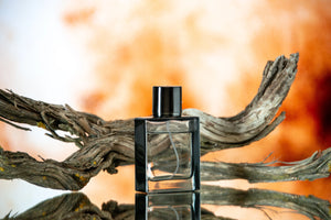 How to Choose a Perfume: A Complete Guide