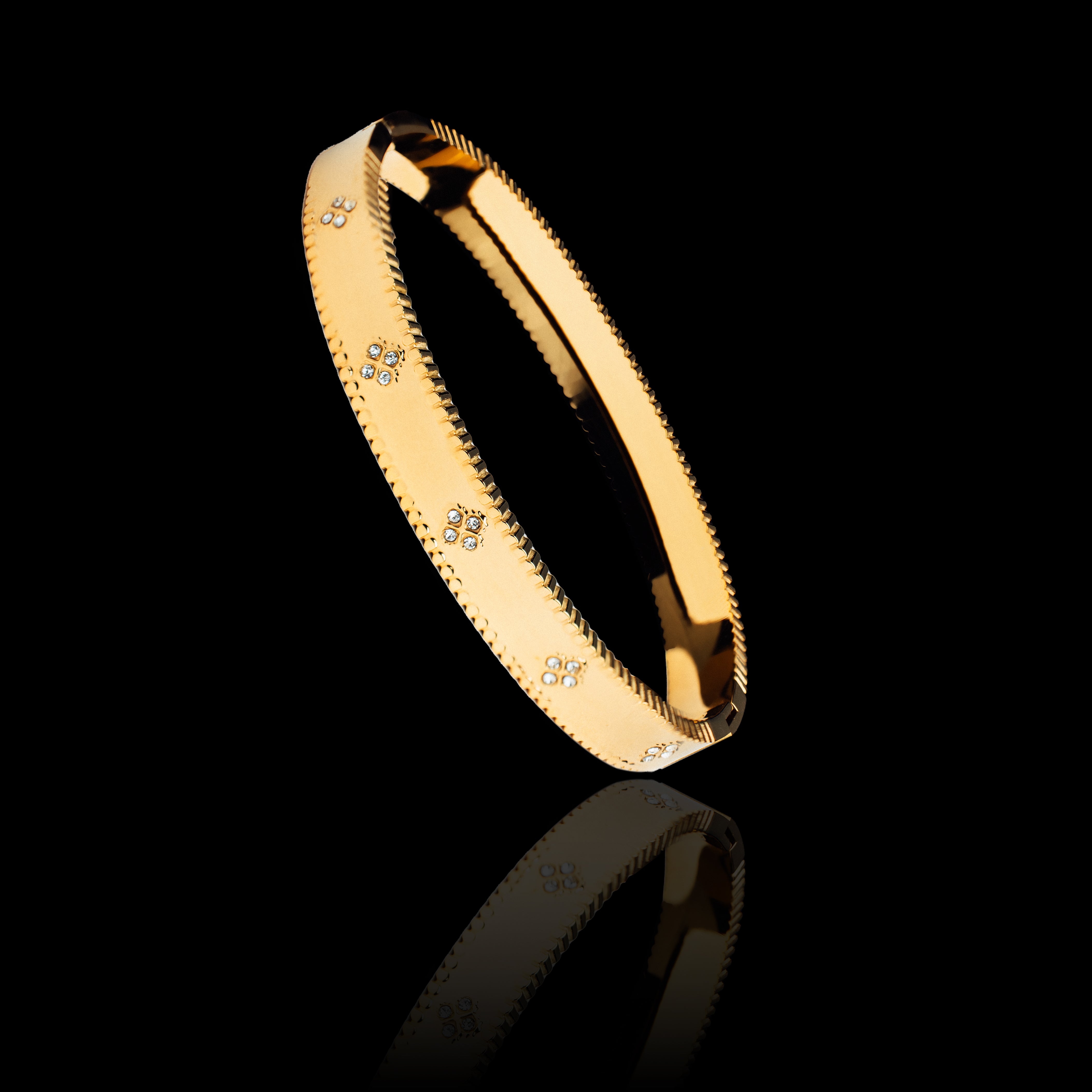 Aegis Bracelet